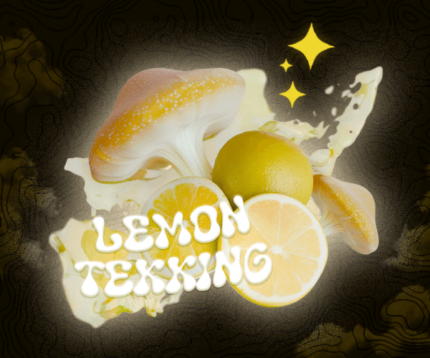 What is Lemon Tekking Magic Mushrooms? A Quick Guide – Trap University