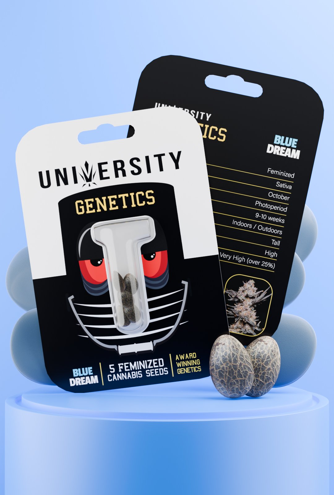 Trap University Blue Dream Feminized Seeds – Over 25% THC Sativa Hybrid with Sweet Berry Aroma Blue Dream Feminized Cannabis Seeds pack – sativa-dominant genetics with sweet berry aroma and high yields