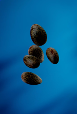 Blue Dream – Feminized Cannabis Seeds - Image 2
