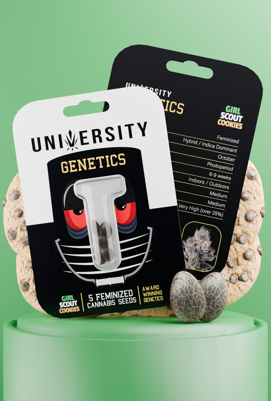 trap-university-Girl Scout Cookies Feminized Seeds – University Genetics Girl Scout Cookies Feminized Seeds pack – high THC resin-rich strain