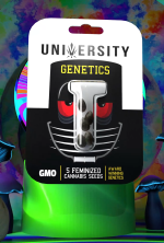 GMO – Feminized Cannabis Seeds - Image 2