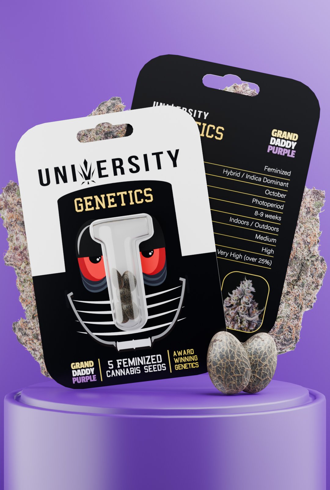 trap-university-Grand Daddy Purple Feminized Seeds – University Genetics Grand Daddy Purple Feminized Cannabis Seeds pack – award winning indica-dominant genetics with grape and berry aroma