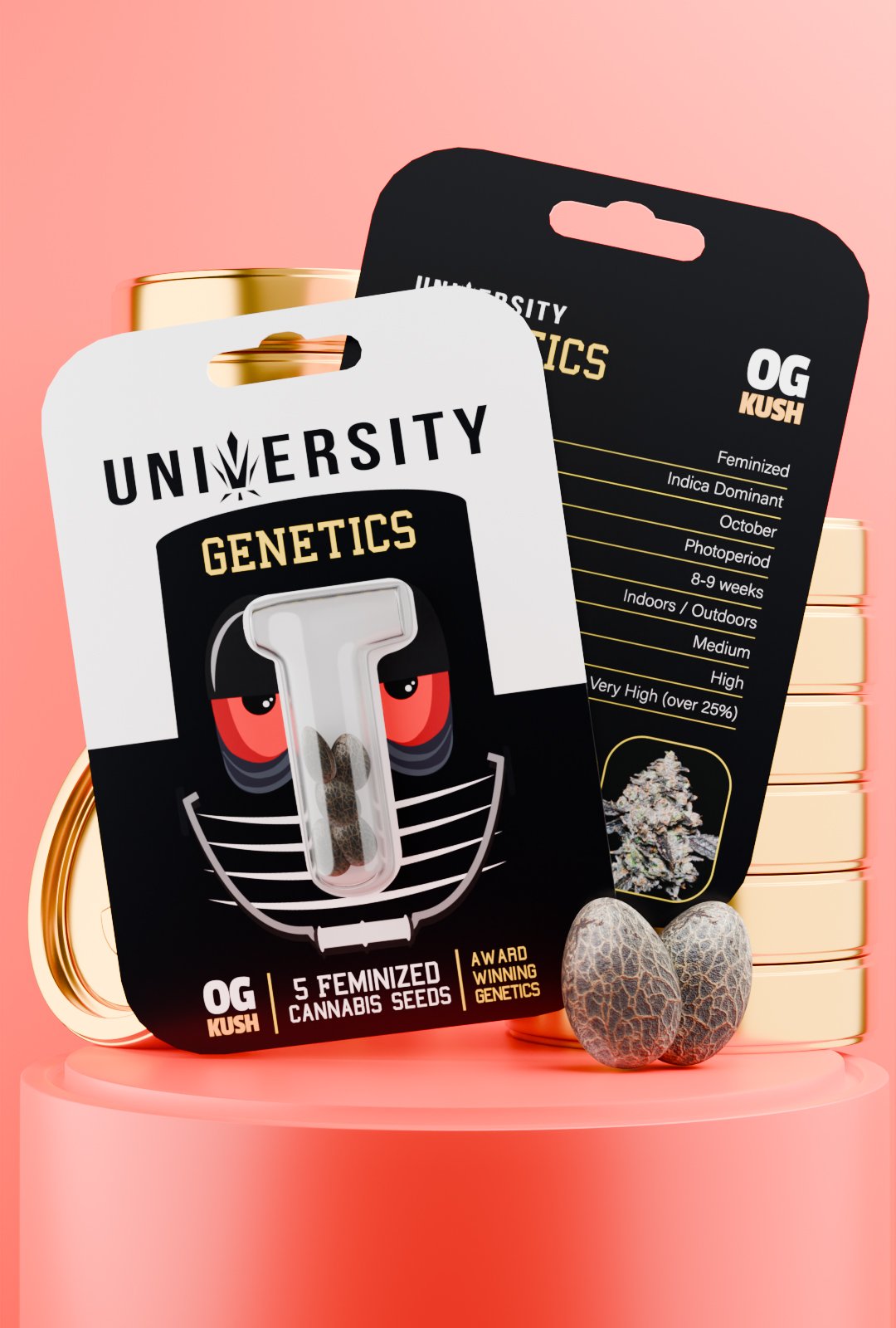 trap-university-OG Kush Feminized Seeds – University Genetics OG Kush Feminized Cannabis Seeds pack – award winning Indica-dominant genetics with earthy pine aroma