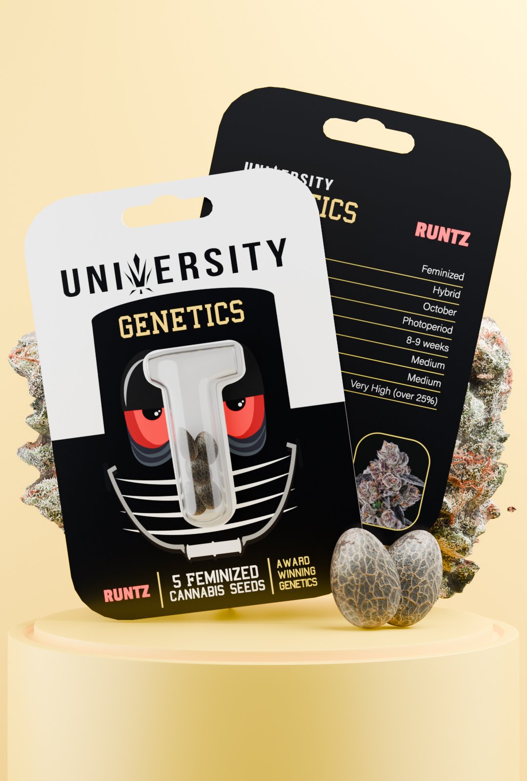 trap-university-Runtz Feminized Seeds – University Genetics Runtz Feminized Cannabis Seeds pack – award winning hybrid genetics with candy-like aroma and premium yields