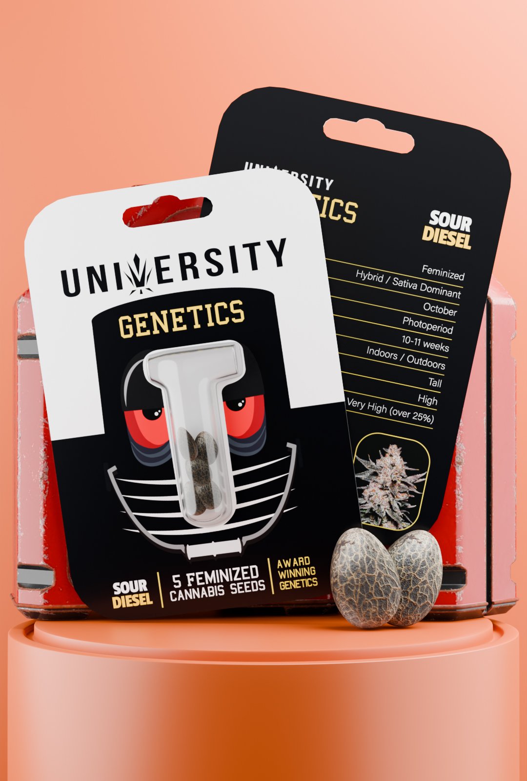 trap-university-Sour Diesel Feminized Seeds – University Genetics Sour Diesel Feminized Seeds pack – award winning sativa genetics with fuel aroma and premium yield