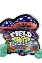 Blueberry Blastoff – Psychedelic Magic Mushroom Gummies - Image 4