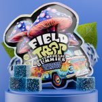 Blueberry Blastoff Psychedelic Magic Mushroom Gummies Field Trip pack with blue cubes