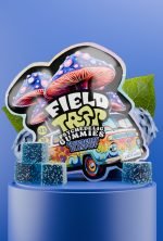 Blueberry Blastoff Psychedelic Magic Mushroom Gummies Field Trip pack with blue cubes