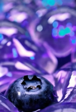 Blueberry Blastoff – Psychedelic Magic Mushroom Gummies - Image 3