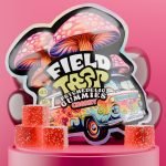 Cherry Psychedelic Magic Mushroom Gummies Field Trip pack with red cubes