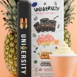 Dole Whip HHCP Live Resin Vape 2G Disposable – pineapple vanilla tropical vape