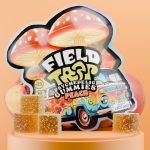 Peach Psychedelic Magic Mushroom Gummies Field Trip pack with peach cubes