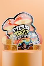 Peach Psychedelic Magic Mushroom Gummies Field Trip pack with peach cubes