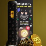 OG Kush – THC Delta 8 Live Resin Vape 2G