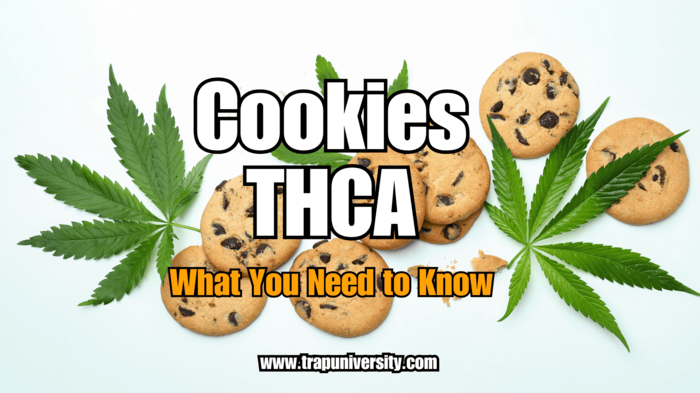 Chocolate chip cookies with cannabis leaves and bold text "Cookies THCA – What You Need to Know."