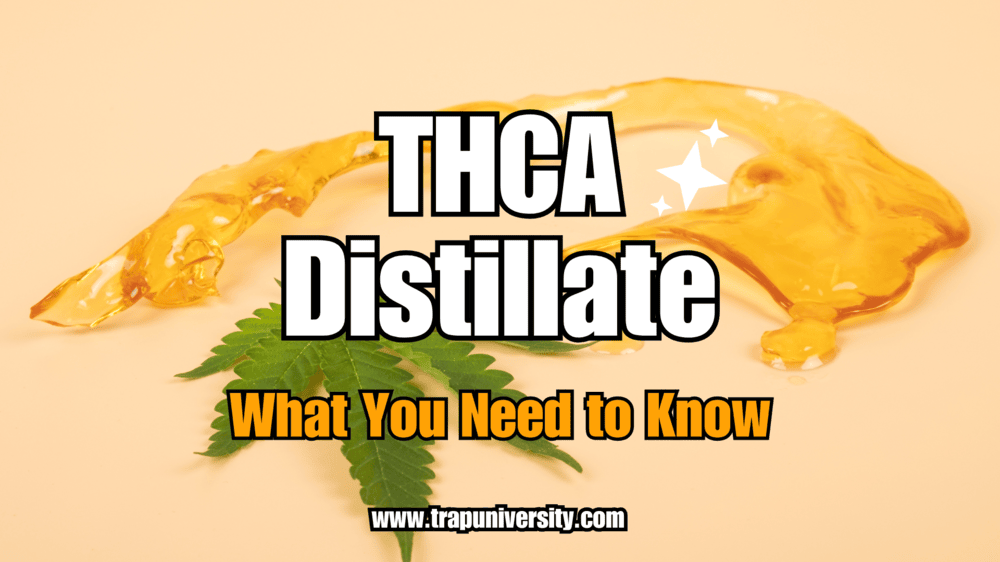 THCA distillate displayed with cannabis leaves and golden extract on a soft background.