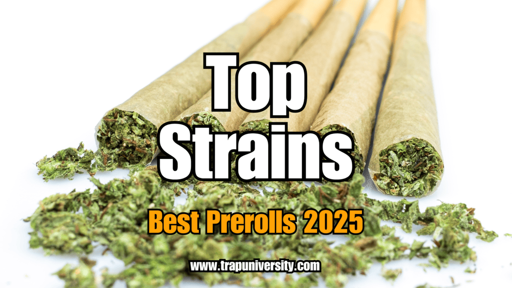 Close-up of rolled cannabis pre-rolls with loose green herb in front, highlighting top strains.