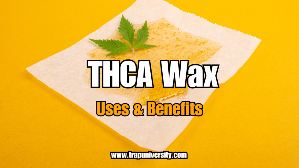 Close-up of concentrated extract to illustrate what thca wax is and how it’s used