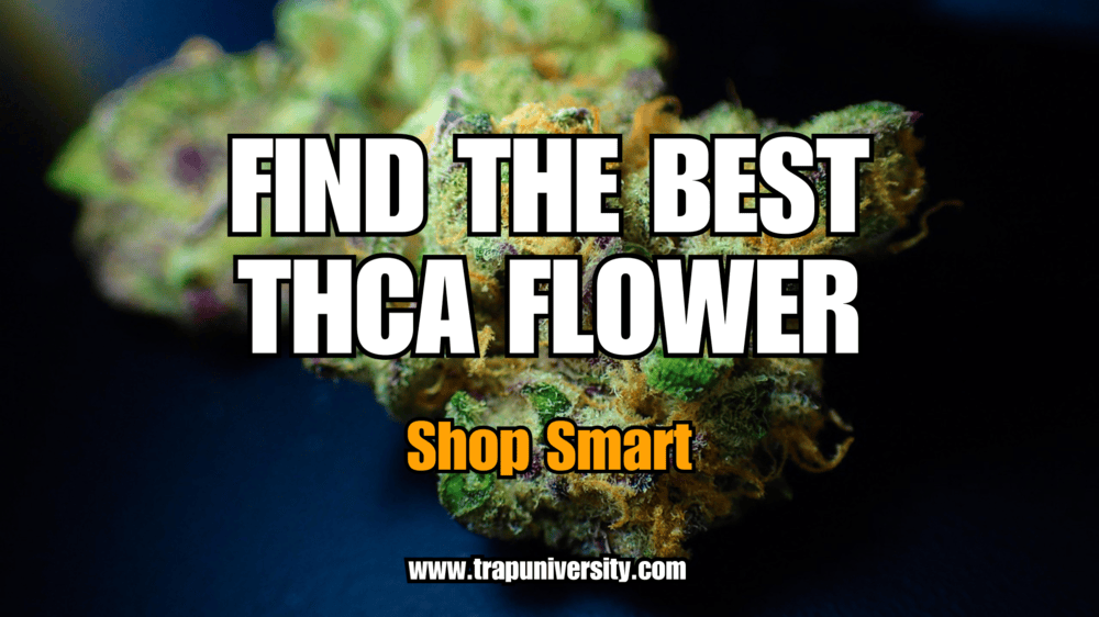 Premium buds displayed on a clean background showing where to buy thca flower online