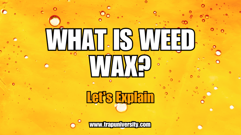 Bright yellow background with bubbles illustrating weed wax and what weed wax is