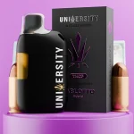 Pablotto THCP Vape Liquid Diamonds Disposable 2.5G – hybrid vape