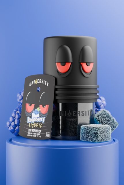 Blue Raspberry THCP Live Rosin Premium Gummies Hybrid jar with cubes