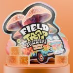 Mango Mania Psychedelic Magic Mushroom Gummies Field Trip pack with orange cubes