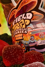 Mango Mania – Psychedelic Magic Mushroom Gummies - Image 3