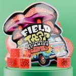 Strawberry Wild Psychedelic Magic Mushroom Gummies Field Trip pack with red cubes