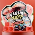 Wicked Watermelon Psychedelic Magic Mushroom Gummies Field Trip pack with red cubes