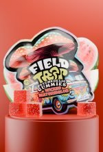Wicked Watermelon Psychedelic Magic Mushroom Gummies Field Trip pack with red cubes