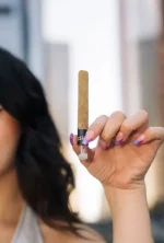 Lemon Cherry Gelato – HHC Exotic Preroll 2G - Image 2