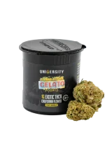 Peanut Butter Gelato – THCA Premium Exotic Flower 1G - Image 3