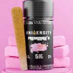 Pink Zaburst Runtz THCP Sativa Prerolls with Kief 3.5G Freshman