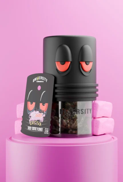 Pink Zaburst Runtz THCA Indoor Flower 3.5G in black jar with pink candy blocks, premium exotic hybrid strain