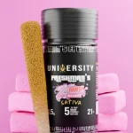 Pink Zaburst Runtz THCP Sativa prerolls 3.5G with kief Freshman pack