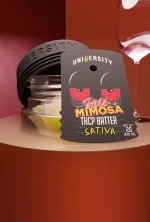 Rose Mimosa – THCP Premium Live Batter - Image 2