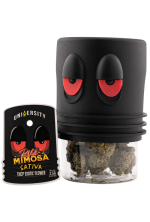 Rose Mimosa – THCP Indoor Exotic Flower 3.5G - Image 4