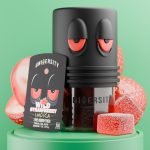 Wild Strawberry THC Live Rosin Premium Gummies Indica jar with cubes