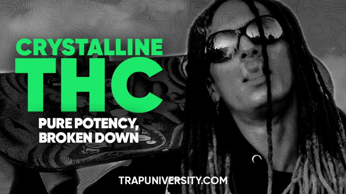 Person exhaling smoke while the graphic highlights crystalline THC as the purest form of THC