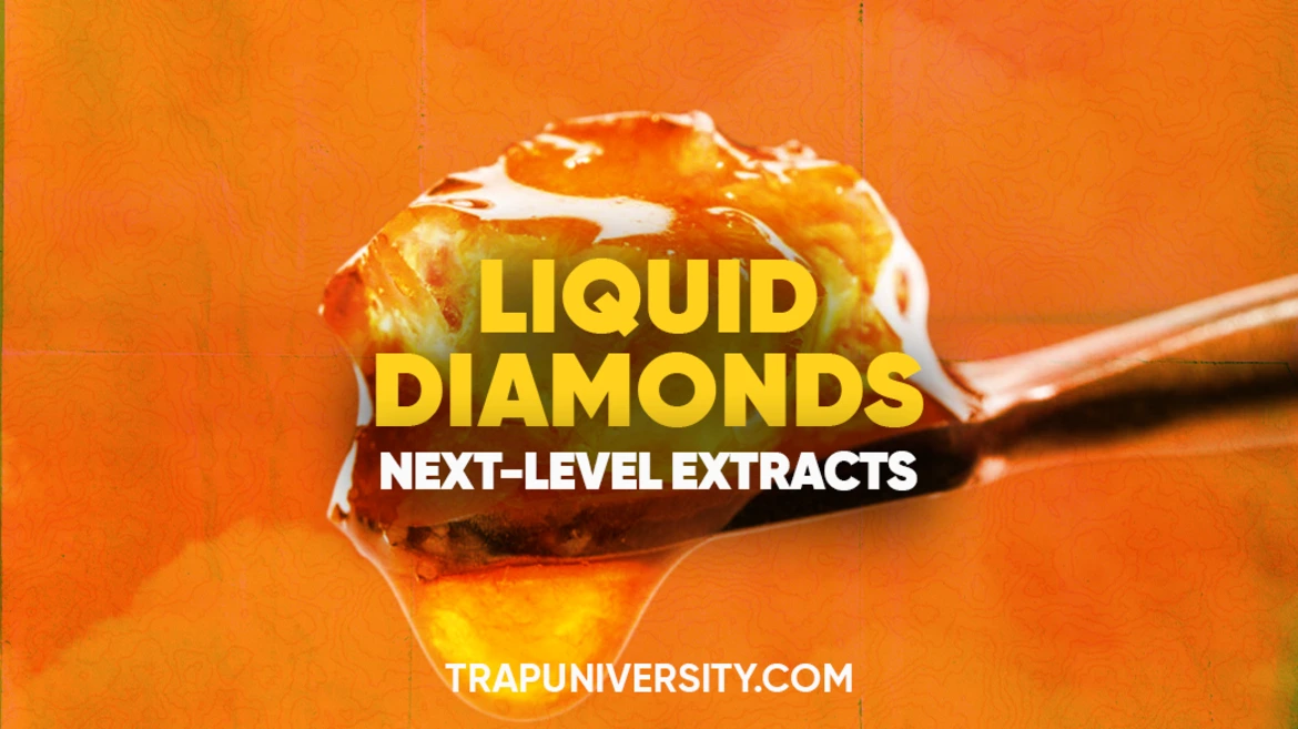 Golden concentrate on a dab tool showing liquid diamonds THC and what makes them unique