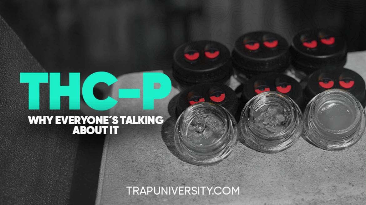 THC-P concentrate jars with signature Trap University lids illustrating why THC-P is trending