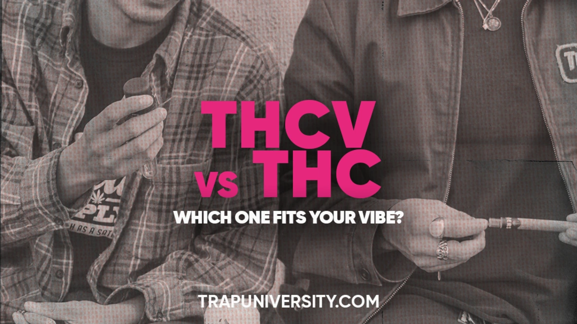 Two people holding THC products while the graphic highlights THCV vs THC effects and differences