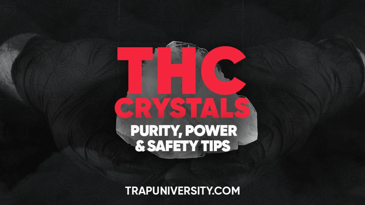 Gloved hands holding a clear chunk of THC crystals highlighting purity power and safe use tips