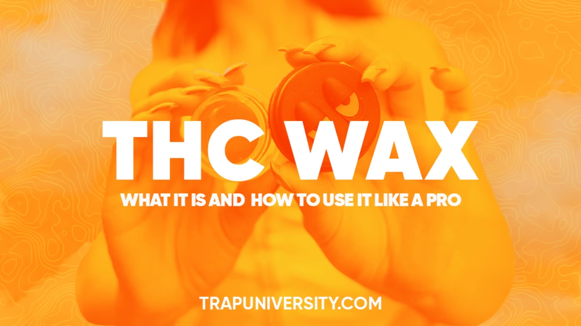 Hands holding a jar of concentrate illustrating THC wax and how to use it like a pro