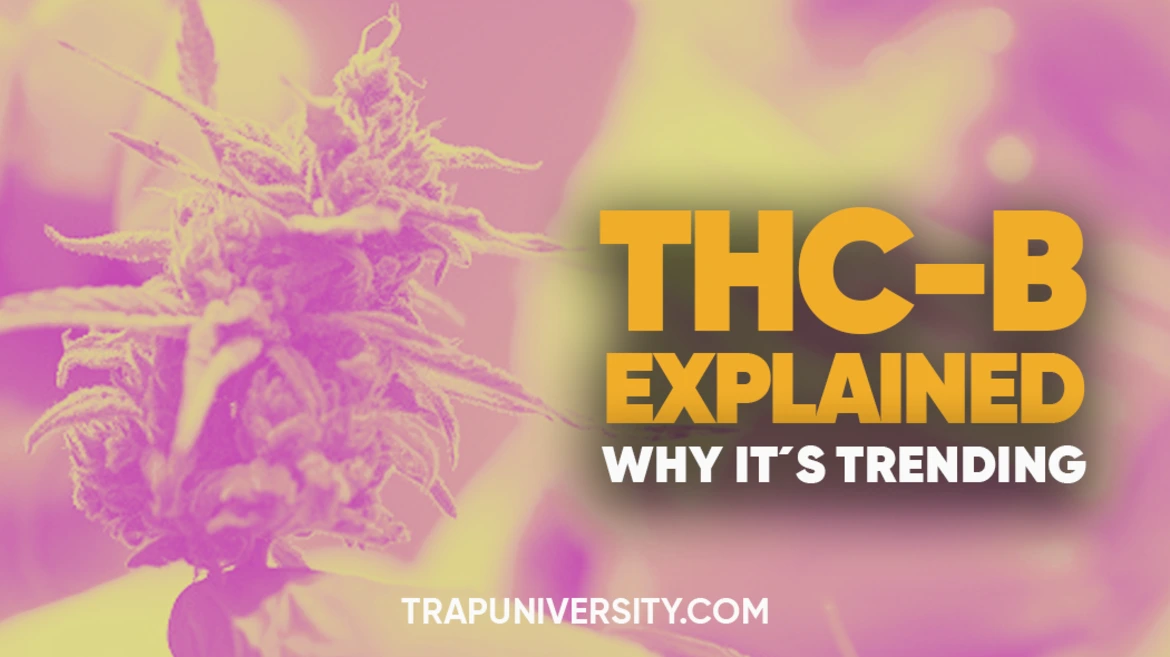 Close-up of a hemp flower with bold text explaining THC-B and why THC-B is trending