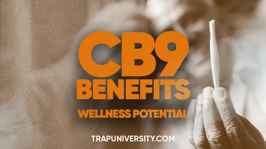 Person holding a rolled joint with bold CB9 graphics in the background highlighting CB9 benefits and wellness potential