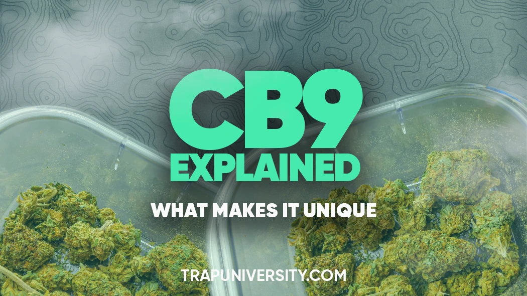 Containers of green flower with bold text illustrating CB9 explained and what makes it unique