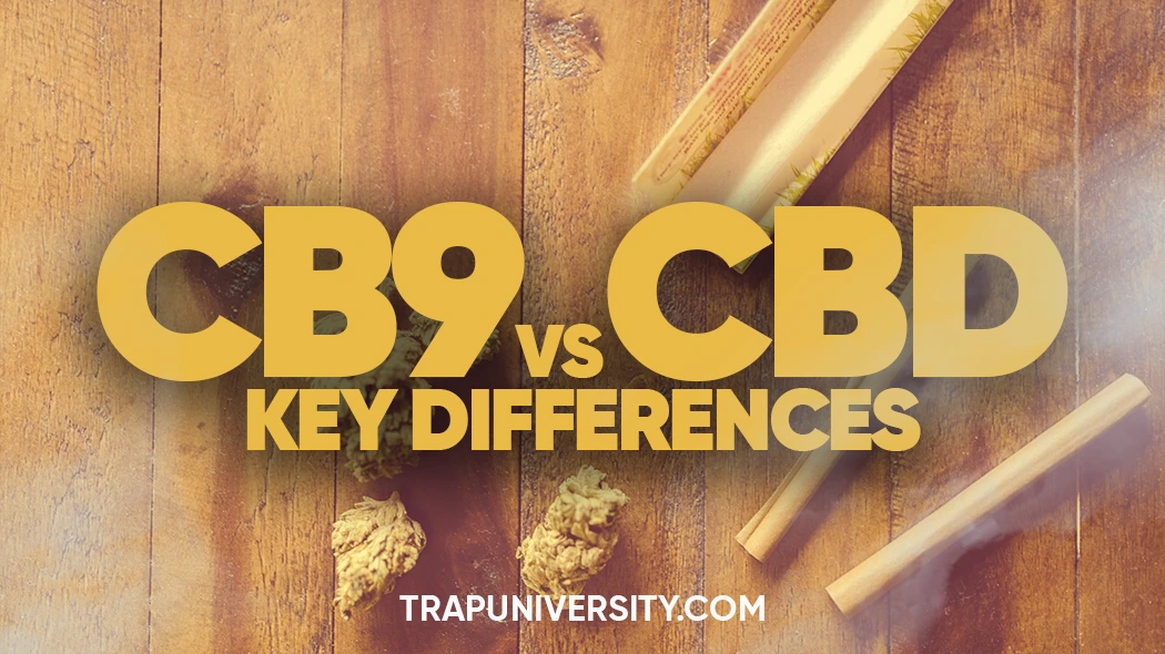 Cannabis buds and rolling papers on a wooden table illustrating CB9 vs CBD differences