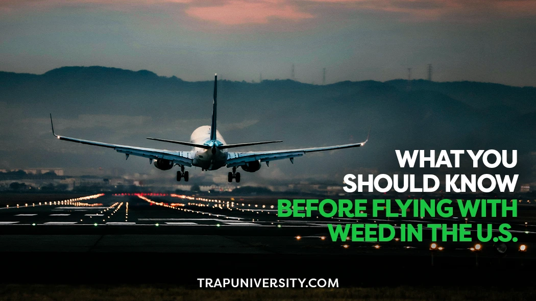 Airplane landing on runway at sunset, symbolizing domestic U.S. travel with cannabis-related considerations.